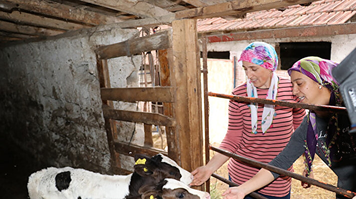 Tarım ve Orman Bakanlığının "Genç Çiftçi Projesi"ne başvurarak 6 büyükbaş hayvan alan eltiler, güç birliği yaparak hayvan sayısını 25'e çıkarmayı başardı.<br><br>Köylerinde "süper eltiler" diye örnek gösterilen birer çocuk annesi Sevgi ve Yasemin Aydoğsa, köydeki kooperatife günde yaklaşık 100 litre süt satarak ailelerine önemli bir gelir kapısı açtı.