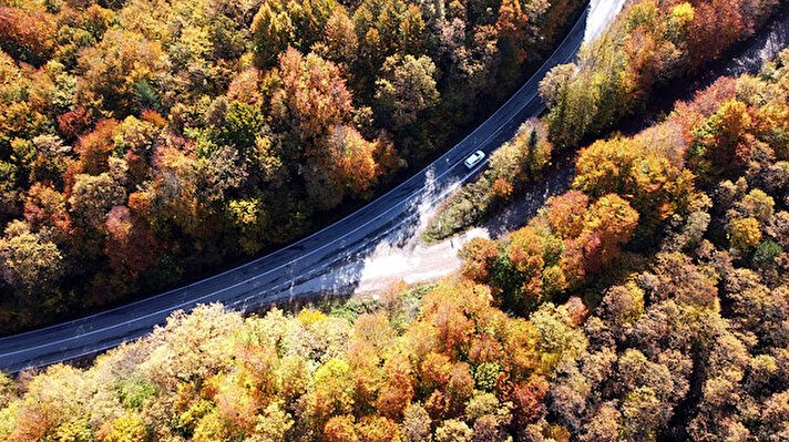 غابات 'بولو' التركية تتزين بألوان الخريف الساحرة