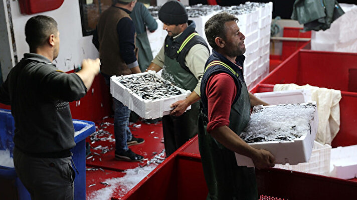 Balıkesir, Trabzon, İstanbul ve Samsun'dan denize açılan balıkçılar hamsi bolluğu nedeniyle rotalarını İğneada'ya çevirdi.<br><br>