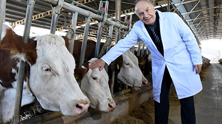 Karacabey ilçesinde 3 yıl önce kurulan 120 dönüm kapalı alana sahip "hastalıktan ari işletme" belgeli çiftlikteki hayvan sayısı 600'den 2 bin 600'e çıktı.<br><br>Hayvanlar için yem üretiminin de yapıldığı, 50 kişinin istihdam edildiği işletmede günlük 22 bin 500 litre süt üretiliyor. AB onaylı firmanın sütü, Türkiye'nin dört bir yanına satılıyor.