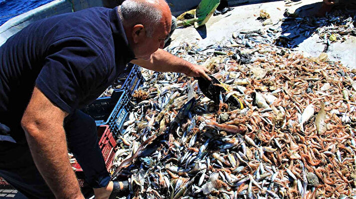 Doğu Akdeniz’de avlanma sezonun 15 Eylül’de açılması ile birlikte ’Vira Bismillah’ diyen balıkçılar, ilk ayı bereketli geçirdi. Ancak hem denizdeki atık kirliliği hem de bazı tür balıkların bir yıldan fazla sürede yetişmesi, istilacı türün artması nedeniyle balık popülasyonunda düşüşün gözlemlendiği belirtildi. 