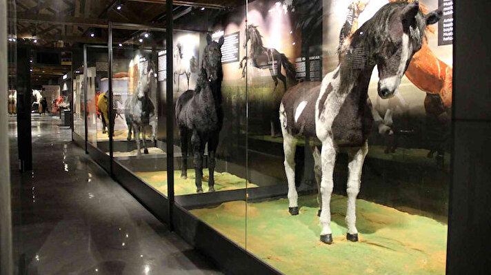 Dünyada bir benzeri bulunmayan 'Savaş Atları Müzesi' Sivas'ta açılış için gün sayıyor.