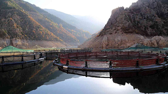 Türkiye’nin en hızlı akan çaylarından birisi olan Harşit çayı üzerine elektrik enerjisi üretmek için vurulan kelepçelerden birisi olan Torul baraj gölünde yıllardır hem elektrik üretiliyor hem de göl yüzeyince kafes balıkçılığı yapılıyor.
