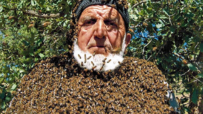 Tomarza ilçesinde 68 yıldır arıcılık yapan 94 yaşındaki Sami Helvacıoğlu, dedesinin Çanakkale’de kalmasının ardından arıcılık yapan anneannesine yardım etmeye başladı. İlk başladığı günden beri arılarla beraber Türkiye’nin belirli yerlerini gezen Helvacıoğlu, üzerine 50 binden fazla arı konmasına rağmen kıyafetsiz ve maskesiz olarak işini yapıyor. 500 kovan arısı olan ve işini severek yapmaya devam eden Helvacıoğlu, “Çiçek nerede arı orada. Arı nerede ben oradayım” dedi.