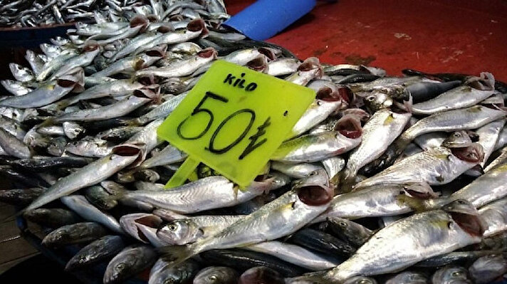 Kocaeli’de balık fiyatlarının yeniden yükselişe geçmesi sebebiyle vatandaşlar beklenen ilgiyi göstermedi. Tezgahlarda hamsi 30 TL'den alıcı bulurken, çinekop 50 TL, istavrit 30 TL, barbun 40 TL, tekir 40 TL, çipura ve levrek ise 60 TL'den satışa sunuluyor.<br><br>