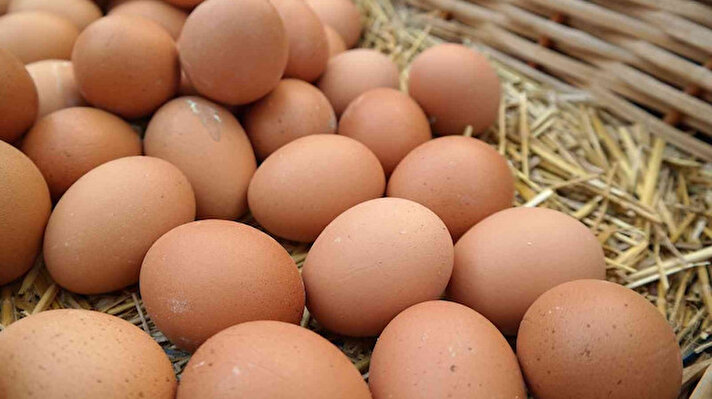 Eskişehir'de üreticilik yapan Turgut Günay, 4 yıldır kendi çiftliğinde doğal yumurta üretiyor. Belli bir arazide gezen tavuklarından doğal olarak elde ettiği yumurtaları pazarlarda satan Günay, bin tavuktan yüzde 75 verim alıyor.