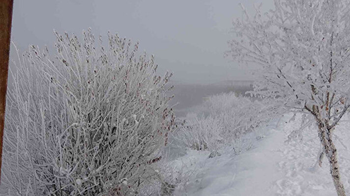Ardahan’da etkili olan dondurucu hava, hayatı olumsuz etkilerken, dün gecenin en düşük sıcaklığı sıfırın altında 25,5 dereceyle Ardahan’ın Göle ilçesinde ölçüldü.<br>