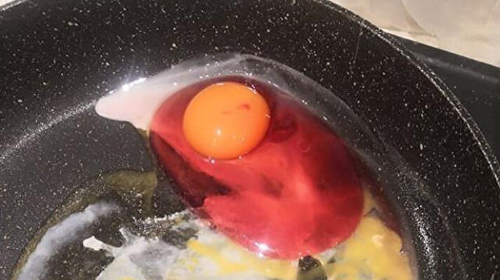 İngiltere'nin Hertfordshire şehrinde yaşayan Beena Sarangdhar, sabah kahvaltısında tavaya yumurta kırdığı sırada gözlerine inanamadı.