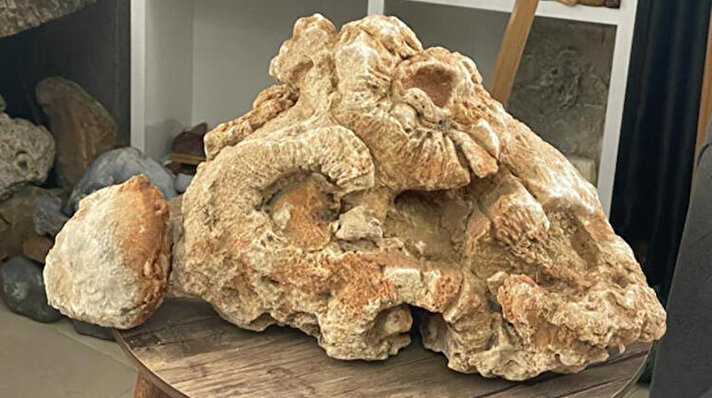 Mardin'de bir apartmanda kapıcılık yapan Mahmut Çelik, 10 yıldan beri hobi amaçlı doğada bulduğu ilginç taş ve fosilleri topluyor.