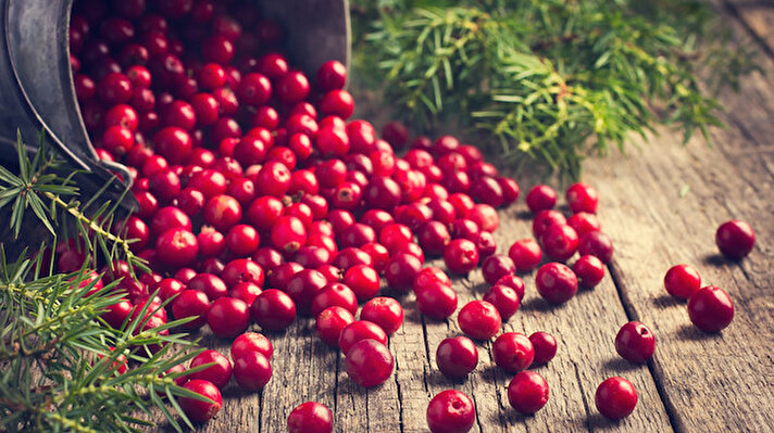 Geçmişi çok eskilere dayanmasına rağmen pek bilinmeyen kızılcık, kırmızı rengi ile dikkat çeken sonbaharın en faydalı meyvelerinden biridir. Yüksek lif oranına sahip, etli ve sulu küçük bir meyvedir.<br><br>