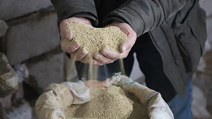 Tuncer Soyal, yüksek protein içeriği nedeniyle "astronot besini" olarak bilinen kinoayı, geçen hasat döneminde arpa ve buğday tarlalarına alternatif ürün olarak ekti.