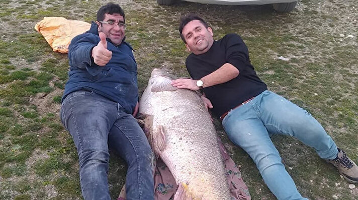 Balık ağı ile yeni yakalanan turna balığının 88 kilogram ağırlığında ve yaklaşık 1,70 metre uzunluğunda olduğu öğrenildi.