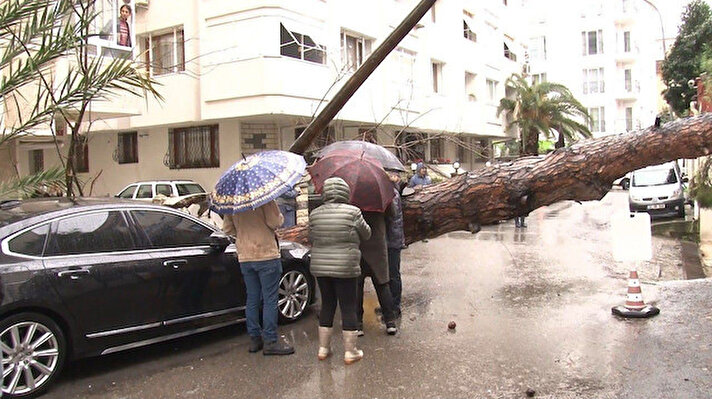 Maltepe Küçükyalı Tipi Sokakta saat 15.30 sıralarında meydana gelen olayda, rüzgar ve yağmurun etkisine dayanamayan dev ağaç kökünden sökülerek sokağa devrildi.