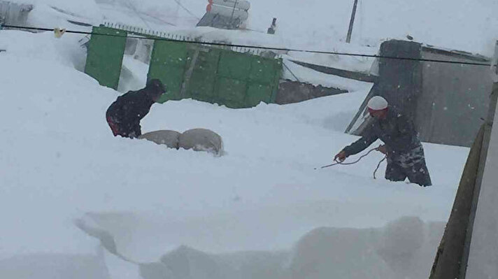 Kars'ta kar yağışı yeniden başladı. Kar yağışıyla birlikte özellikle köylerde yaşayan vatandaşların da zorlu sınavı başladı.<br>