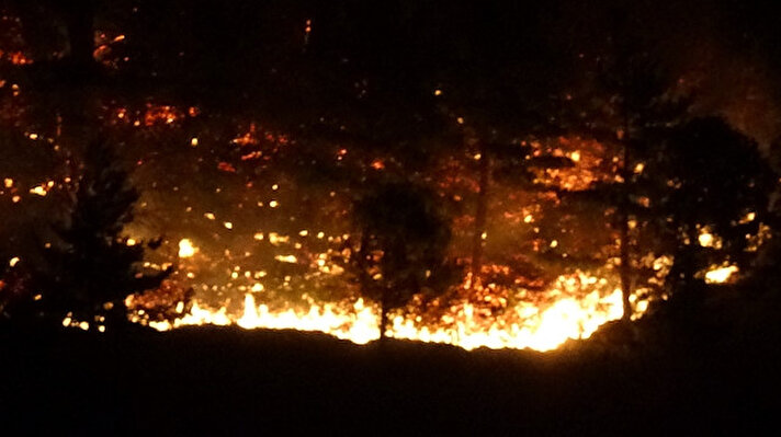 ÇANAKKALE'DE ORMAN YANGINI<br><br>Çanakkale'nin Bayramiç ilçesinde çıkan orman yangınını söndürme çalışmaları devam ediyor.