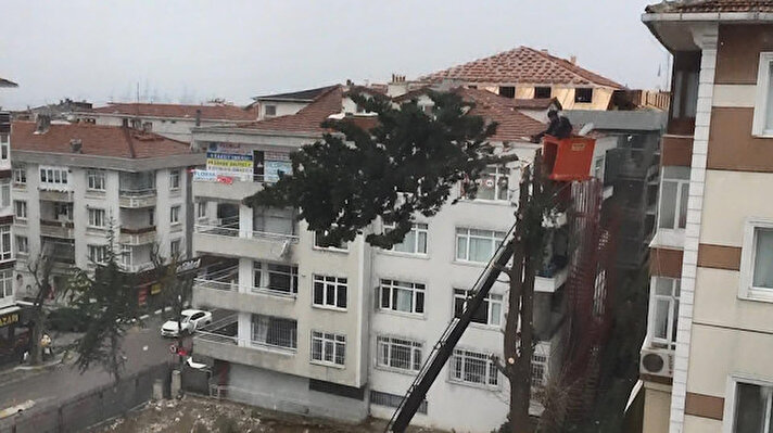 Kentsel dönüşüm kapsamında Avcılar'daki Merkez, Ambarlı, Mustafa Kemal Paşa, Üniversite, Cihangir ve Gümüşpala Mahallesi'nde sahiplerinin anlaştığı eski yapılar yıktırılırken, yerlerine 4 veya İstanbul Büyükşehir Belediyesi'nin aldığı kararla mevcut binalardaki kadar katlı binalar yaptırılıyor.