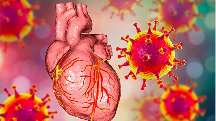 King's College London'daki bilim adamları, sağlıklı kalp hücreleri üretmek için proteinler üreten mRNA'lar adı verilen genetik kodları izlediler. 