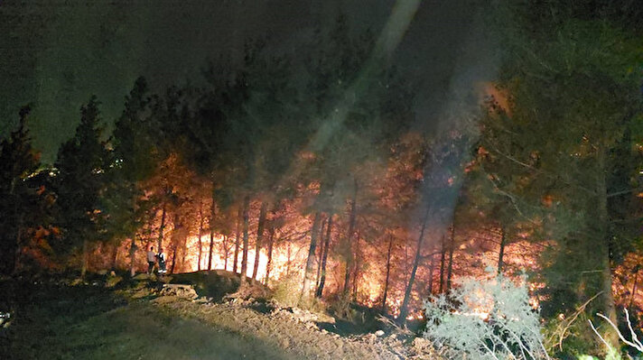 Amanos Dağları eteklerindeki Konaklı Mahallesi’nde gece 01.22’de ormanlık alanda çıkan yangını fark eden vatandaşlar durumu yetkililere bildirdi.
