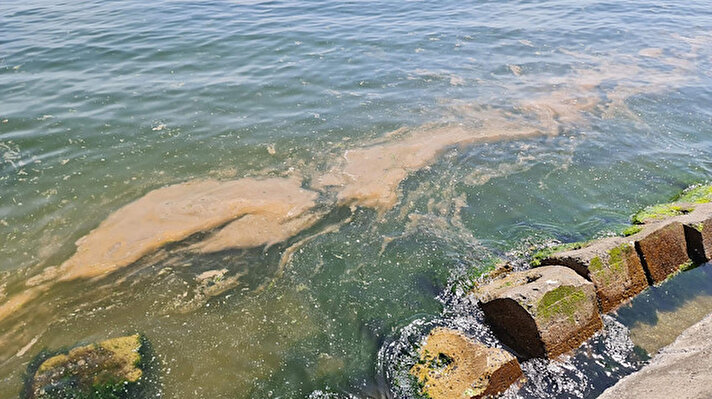 Marmara Denizi'ni geçen yıl aylardır etkisi altına alan müsilaj ile ilgili Çevre, Şehircilik ve İklim Değişikliği Bakanlığı, 'Marmara Denizi Eylem Planı'nı kapsamında temizlik çalışması yaptı. 1 yılın ardından İstanbul ve Tekirdağ sahillerinde yeniden müsilaj görülmeye başlandı.<br>