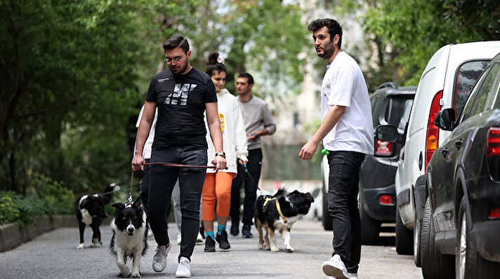 Geliştirdikleri telefon uygulamasıyla eğitim verdikleri gençleri, sahiplerinin ilgilenemeyeceği zamanlar için "köpek gezdiricisi" olarak yetiştiren 6 arkadaş, şimdiye kadar 6 bin 500 kişiye "freelance" iş imkanı sağladı.<br><br>