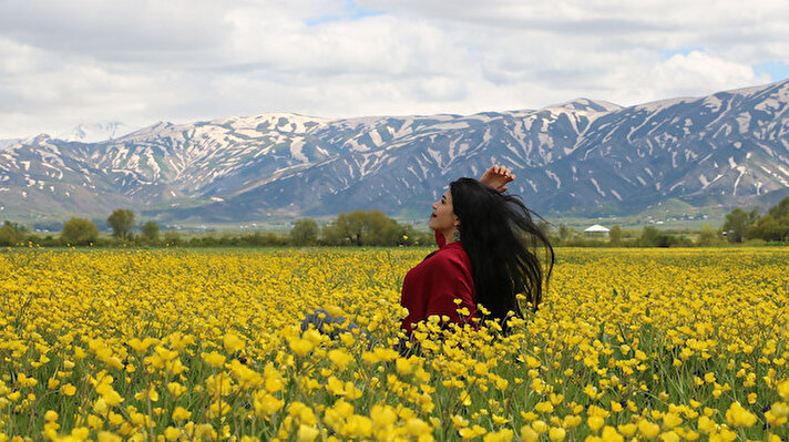 Hakkari'de bahar ayının gelmesiyle birlikte açan sarı çiçekler, ovayı adeta canlandırdı.<br><br>
