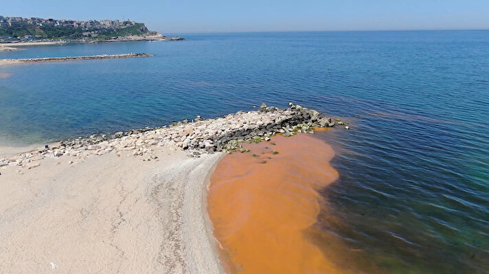 . Renk değişiminin sebebi "alg patlaması" çıktı. Araştırmayı değerlendiren İstanbul Üniversitesi Su Bilimleri Fakültesi Öğretim Üyesi Prof. Dr. Yelda Aktan, "İlkbahar aylarında fitoplankton dediğimiz canlıların aşırı artışıyla bu durum görülebiliyor. Bu maddeler suda renk değişikliğine sebep olabiliyorlar. Müsilaja sebep olan türlerden bu örnek içerisinde göremedik" dedi. 