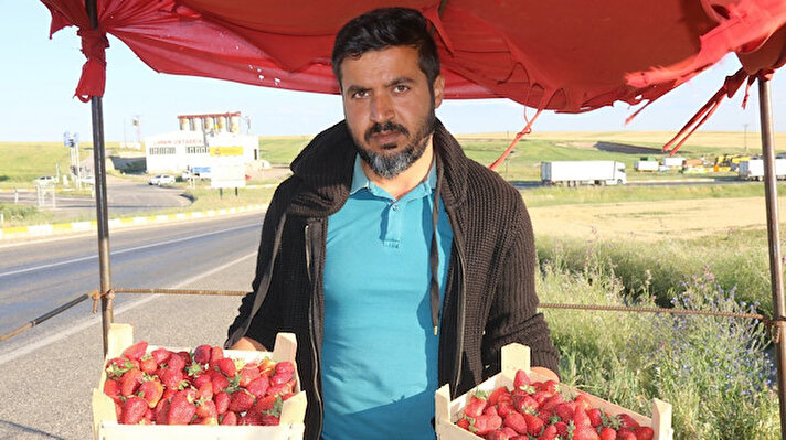 Ürettiği çilekleri Diyarbakır-Bingöl karayolunda satışa çıkartan genç girişimci, yılda dört kere verim aldığı satışlardan memnun olduğunu dile getirdi.<br><br>