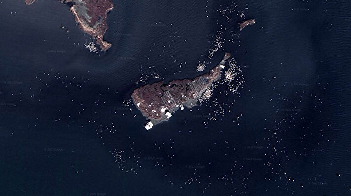 Türkiye'de flamingoların üreme ve yaşam alanı açısından büyük önem taşıyan İzmir-Gediz Deltası'ndaki flamingolar, Google Earth üzerinden elde edilen uydu görüntüleriyle fotoğraflandı.<br>