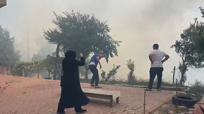 Beykoz'da orman yangını çıktı.