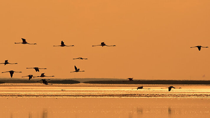 Aksaray, Konya ve Ankara sınırlarındaki kapalı havza özelliği taşıyan Tuz Gölü, Türkiye'nin tuz ihtiyacının büyük bölümünü karşılamanın yanı sıra doğal güzelliğiyle de dikkati çekiyor. Göl, bahar ve yaz aylarında yaklaşık 25 bin flamingoya ev sahipliği yapıyor.<br>