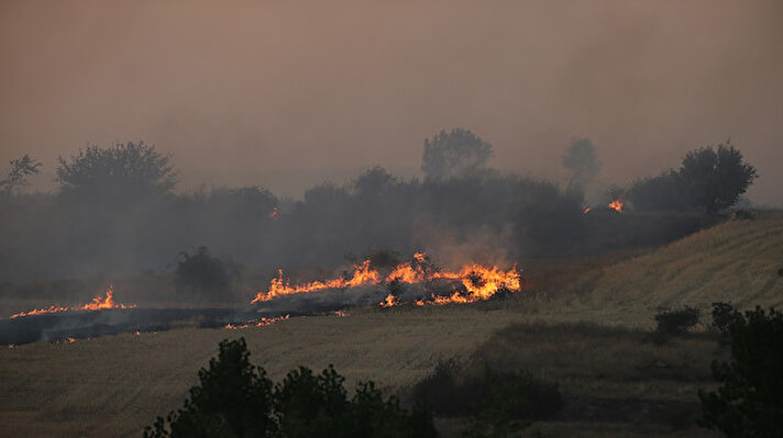 Ülkenin kuzeybatısındaki Zamora eyaletine bağlı Tabara'daki bir kasabada çıkan yangına ekipler müdahale etti. 