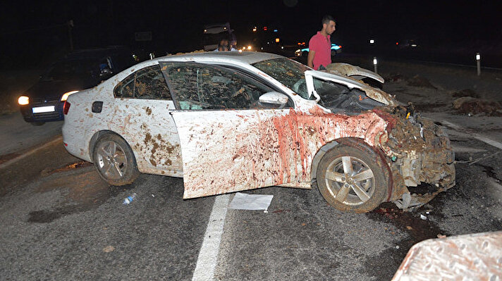 Gece saatlerinde Siverek istikametine seyir halinde olan Mehmet Ali Harat (49) yönetimindeki 16 NGV 80 plakalı otomobil, yola çıkan koyun sürüsüne çarptı.