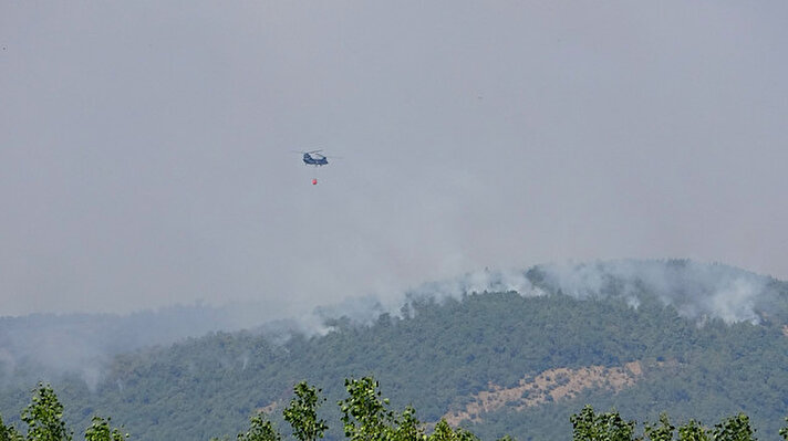 Avrupa'nın en eski doğal koruma alanlarından biri olan Yunanistan'daki Dadia Milli Parkı'ndaki orman, 6 gündür yanıyor. 