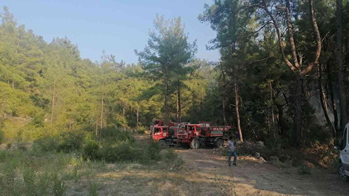 Antalya’nın Manavgat ilçesindeki çıkan orman yangını büyümeden söndürülürken, 4 dönümlük alan zarar gördü.