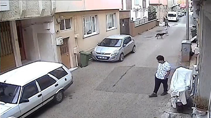 Bursa’da kursa gitmek için evinden çıkan kız çocuğunu başıboş sokak köpeği ısırdı.