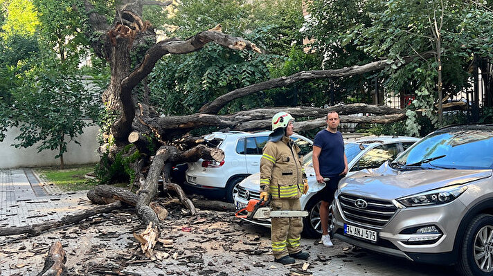 Kadıköy Göztepe Mahallesi Şair Arşi Caddesi'nde sabah saat 08.00 sıralarında, 14 katlı apartmanın bahçesindeki çınar ağacının bir kısmı park halindeki araçların üzerine devrildi.