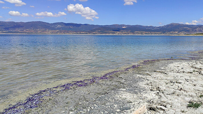 Temmuz ayı sonunda alg patlaması nedeniyle su rengi mavi, sarı ve yeşile dönen Burdur Gölü'nde, bu kez sahildeki kumların rengi mora büründü.