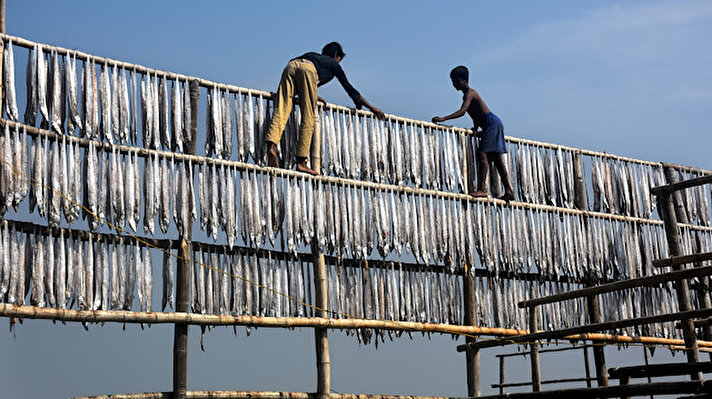 Bangladeşli balıkçılar, Bengal Körfezi'nde tutulan balıkları, Cox's Bazar'da bulunan Naziratek sahil köyüne getiriyor. 