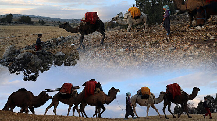 Konya ve Karaman'da yaz mevsimini geçiren yaklaşık 400 Yörük ailesi, kışı geçirecekleri Mersin'in Gülnar, Silifke, Mut, Aydıncık ve Bozyazı ilçelerine develeriyle ekim ayının sonlarında göç etmeye başladı.