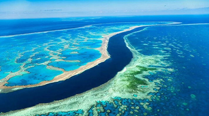 Avustralya Çevre Bakanı Tanya Plibersekiklim değişikliği konusunda hükümet eylemsizliğine yönelik eleştirilerin geçerliliğini yitirdiğini savundu. Bakan hükümetinin UNESCO'nun Büyük Bariyer Resifi'ni nesli tükenmekte olan Dünya Mirası alanları listesine eklemesine karşı çıkacağını söyledi.