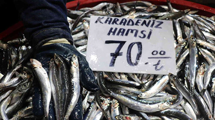 Karadeniz’de yaşanan hamsi bolluğundan dolayı Rize’de hamsinin kilogram fiyatı 10 liraya kadar düşerken Sivas’ta hala 70 liraya satılması tepkilere neden oldu.