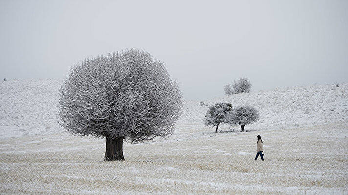 Tunceli'de etkili olan kar yağışı ve sis güzel görüntüler oluşturdu.<br>
