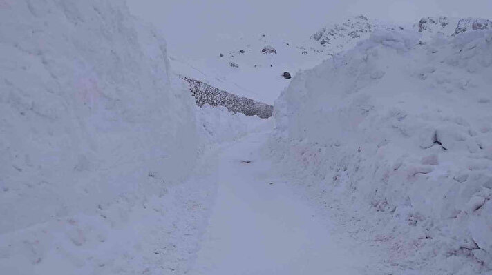 Şemdinli ilçesinin Tekelli bölgesinin yüksek kesimlerinde yoğun bir şekilde yürütülen karla mücadele çalışmaları devam ediyor.