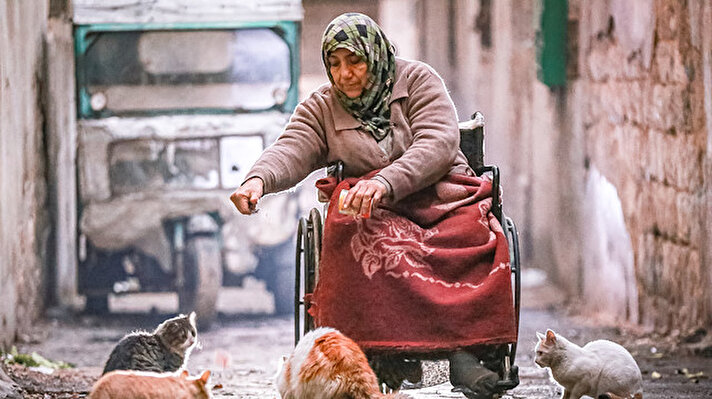 على كرسي متحرك.. أم سورية ترعى ابنها المقعد وقططها العشرة