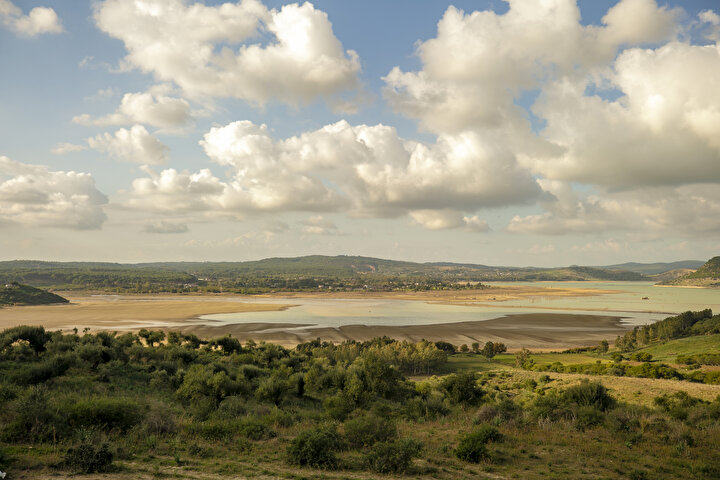 yeniSafak