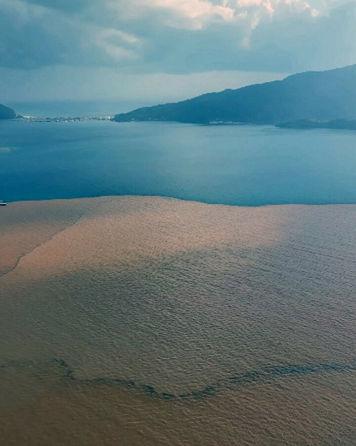 yeniSafak