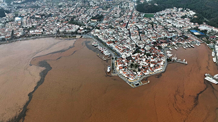 yeniSafak