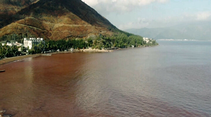 yeniSafak