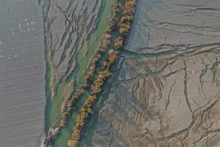 yeniSafak