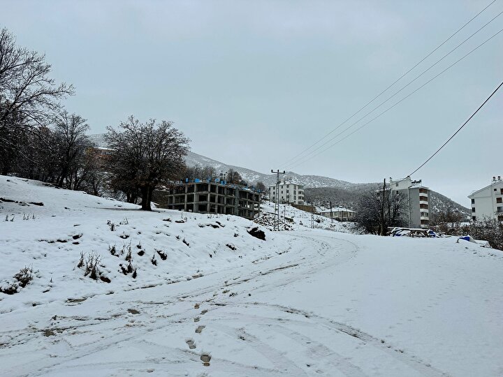 yeniSafak